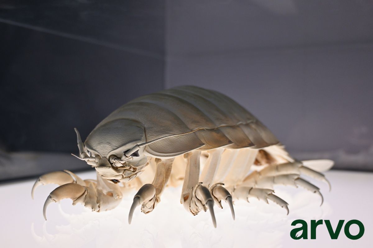 Specialty Services for Arvo Pest Control in Sandy, UT