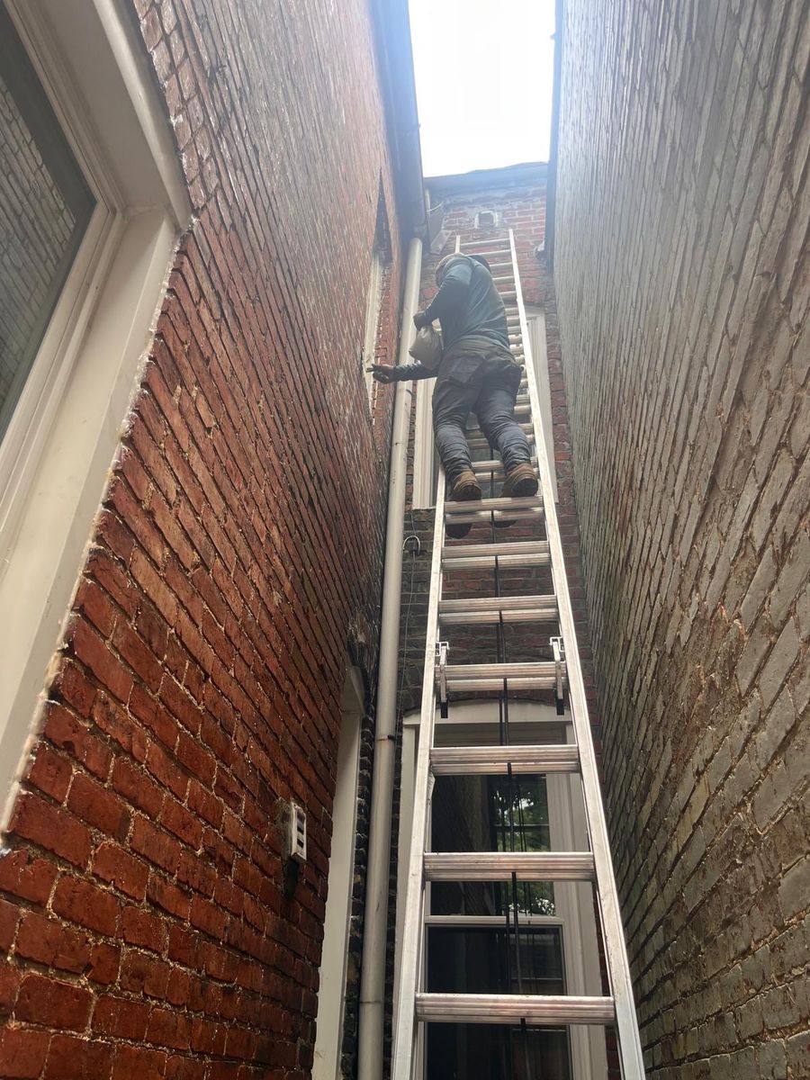 Masonry for Premier Tuckpointing Masonry Repairs in Arlington, VA