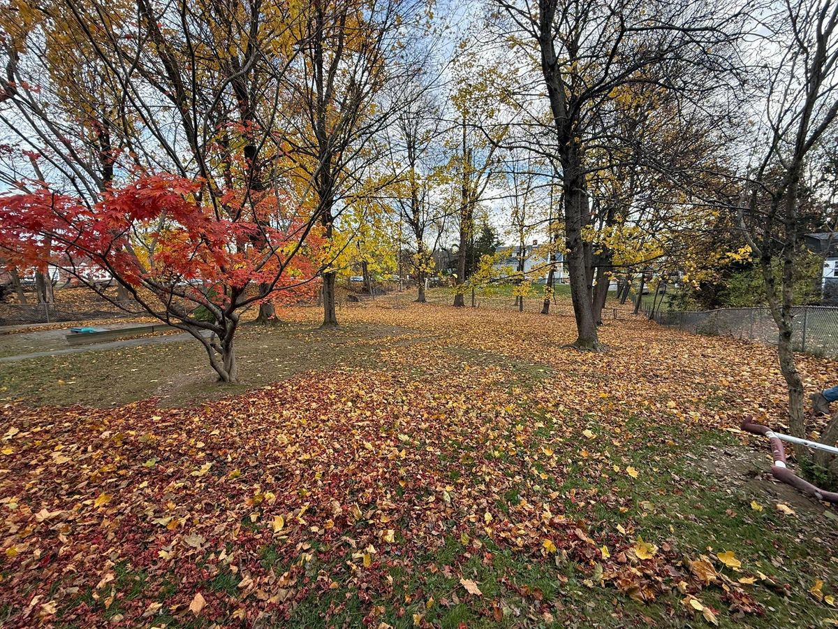 Fall & Spring Maintenance for Ardisi Property Maintenance LLC in Poughkeepsie, NY 