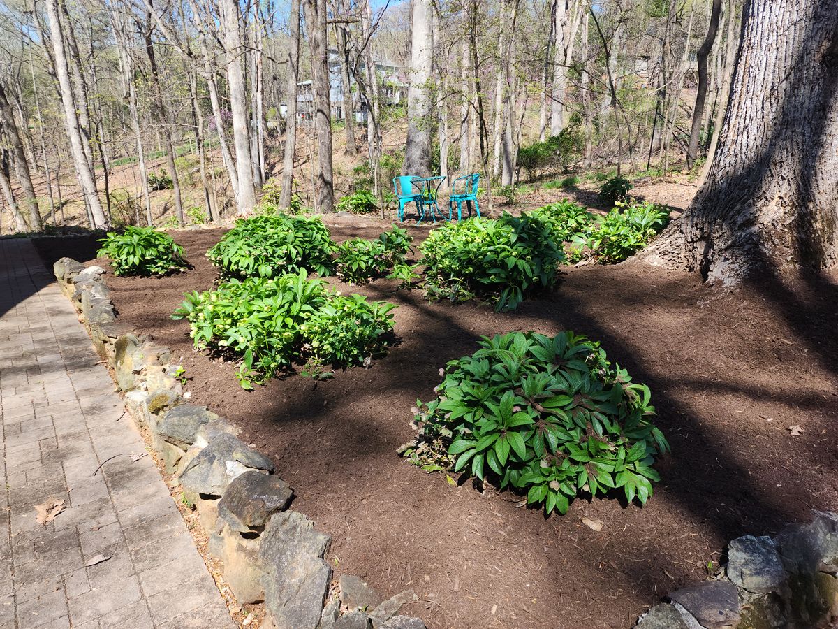 Mulch Installation for Lakeside Landscaping  in Gordonsville, VA
