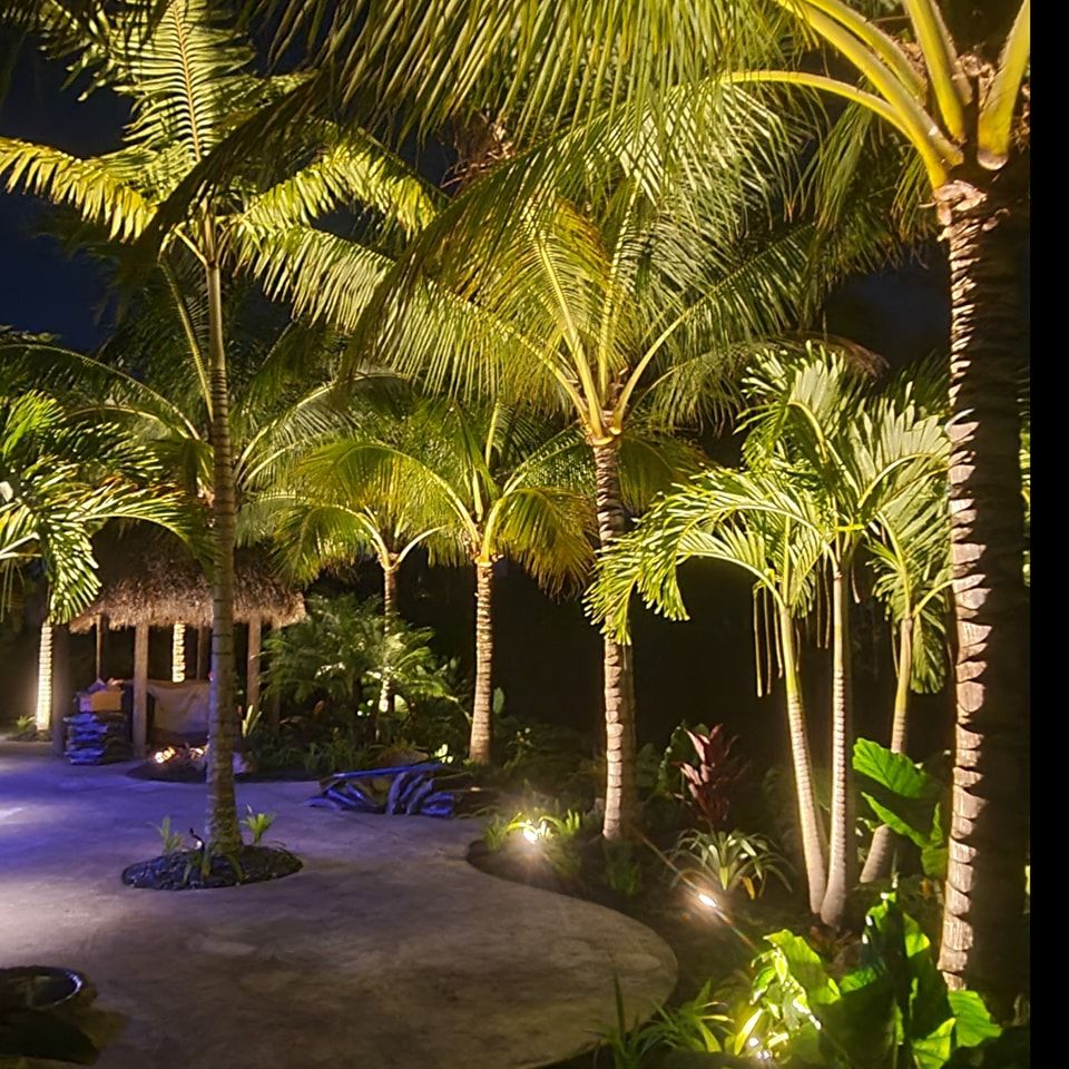 Landscape Lighting for Natural View Landscape, Inc.  in Loxahatchee, FL