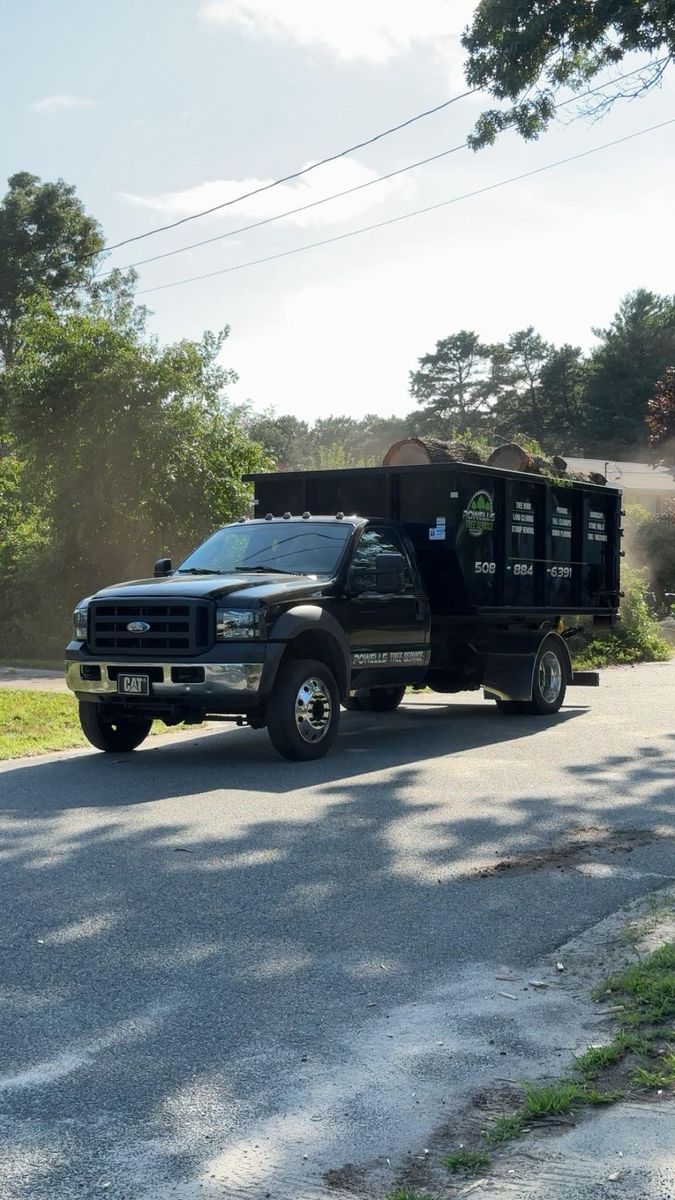 Tree Removal for Powell Tree Service Inc. in Cape Cod, MA