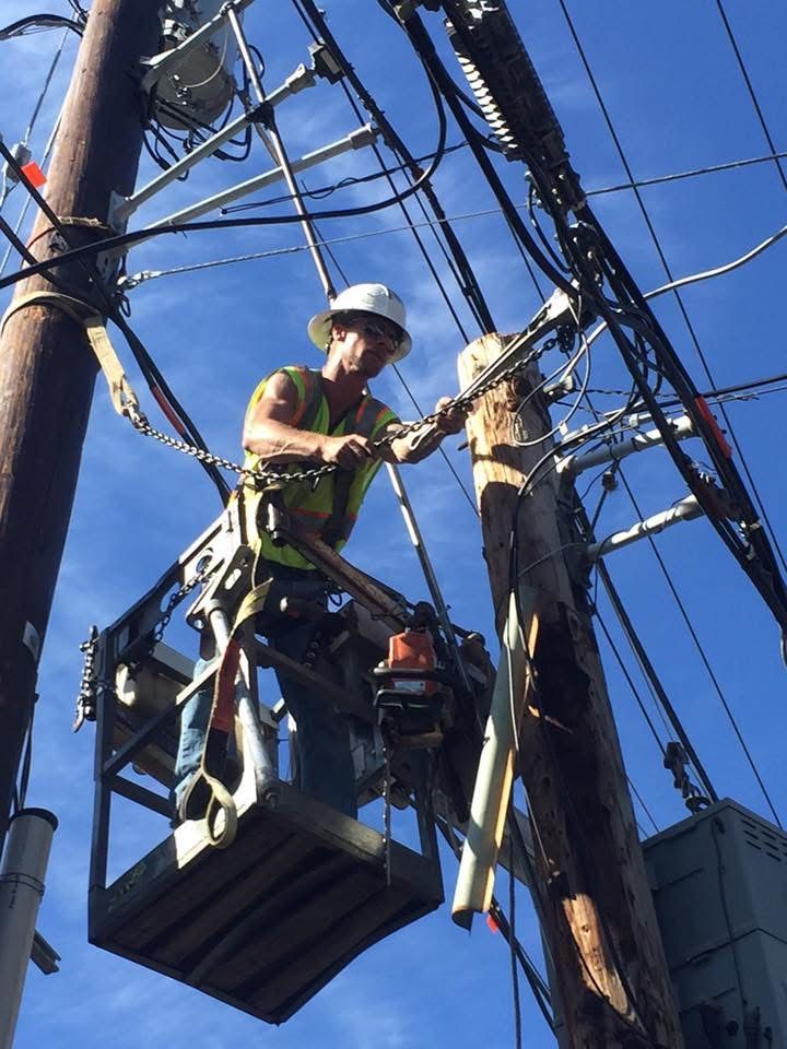 Tree Trimming for Hammons Construction LLC in Eugene, OR
