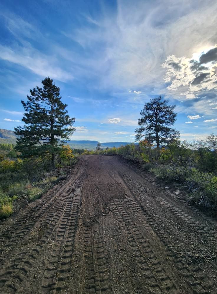 Site Preparation for Markham Septic & Excavation in Pagosa Springs, CO