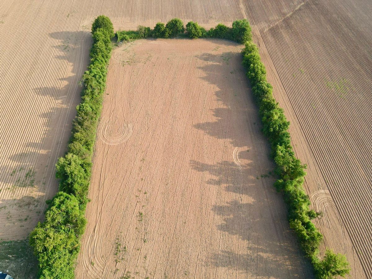 Land Clearing for Lambert Equipment Services in Hessmer, LA