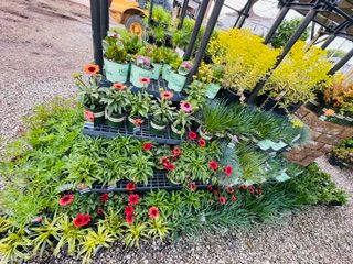 Gardening for Mayfield Landscaping in Staunton, IL