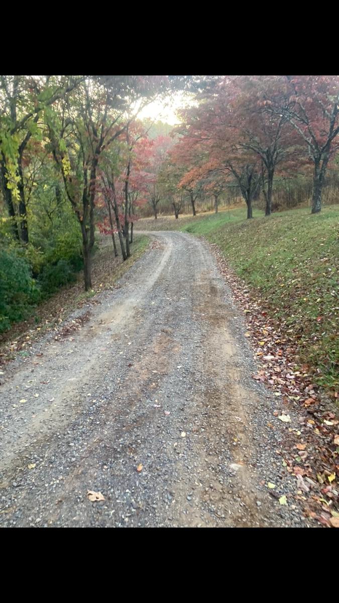 Driveway Regrading for 9999 Building and Renovation LLC in Warrenton, VA