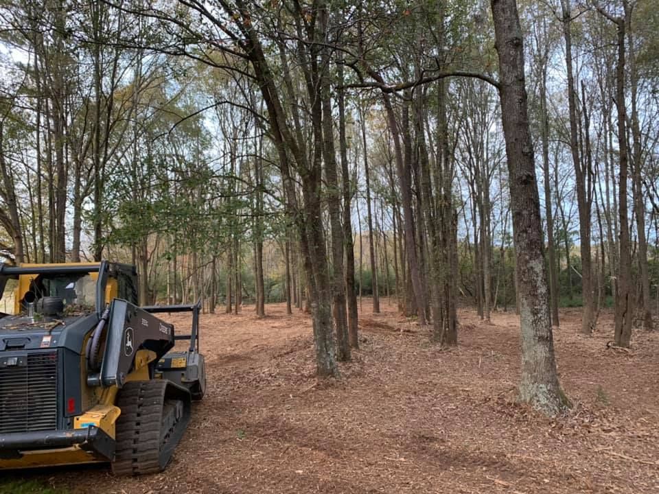 Forestry Mulching for KLNAX Enterprises Inc. in Social Circle, GA