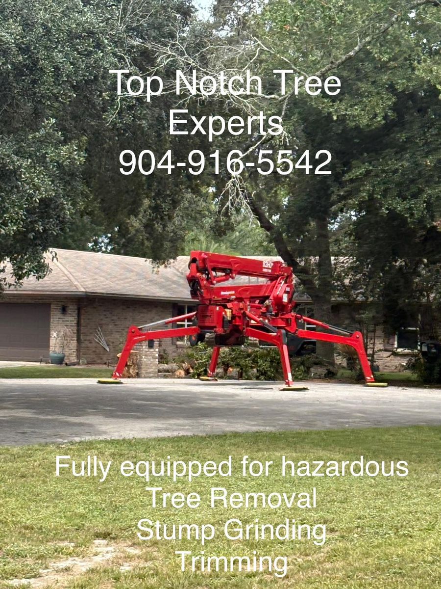 Stump Removal for Top Notch Tree Experts in Orange Park, FL