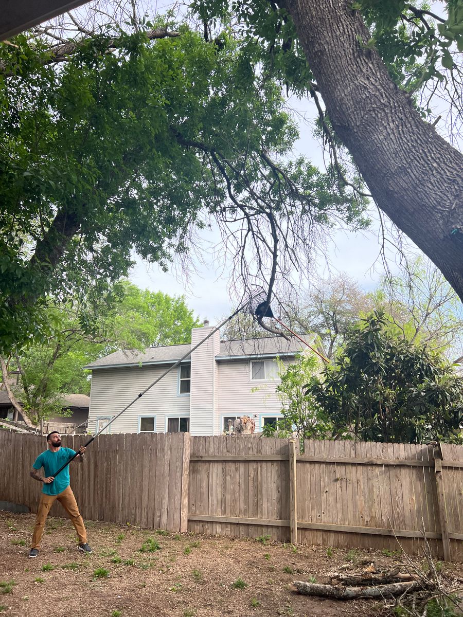 Fall and Spring Clean Up for Z’s Trees LLC in Grey Forest, TX