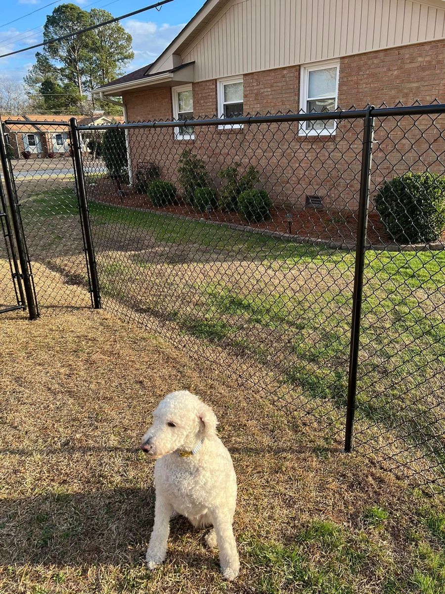 Fence Installation for TG Fencing LLC in Farmville, NC