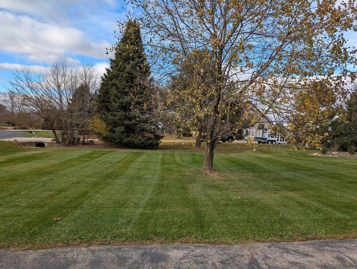 Other Lawn Services for TCB Lawn Care & Snow Removal in Sun Prairie, WI