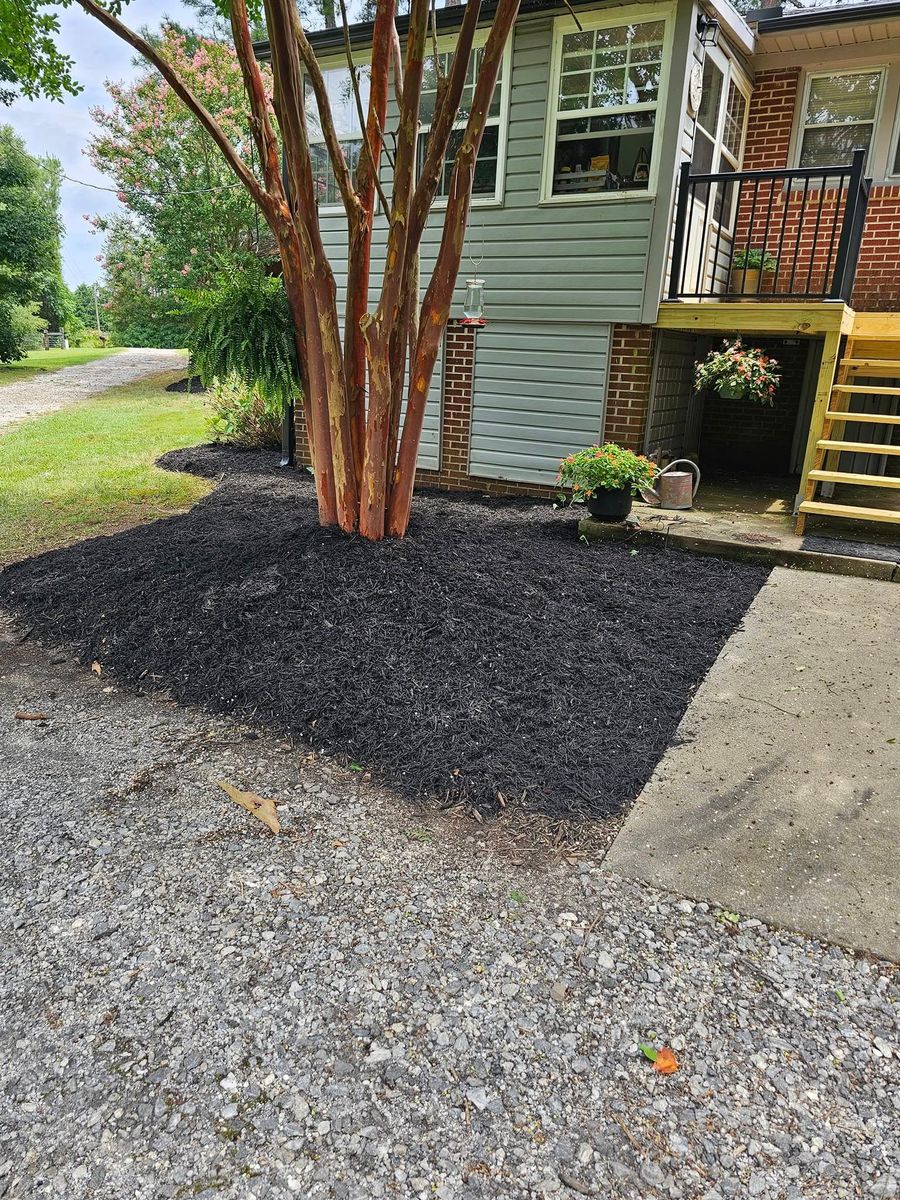 Landscape design for Sunshine's Dreamscapes in Greenville, SC