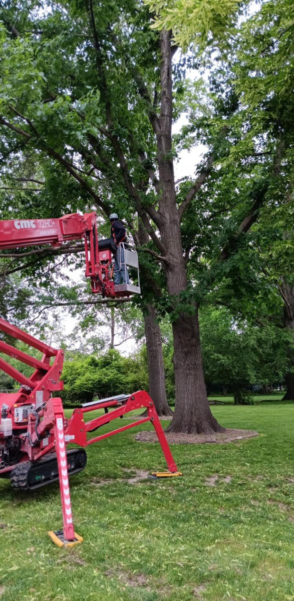 Tree Trimming for Lawn Ranger Yard And Tree Service LLC in Ottumwa, IA