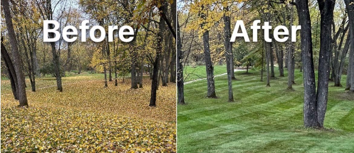 Leaf Removal for Elite Property Pro’s LLC in Taneytown, MD