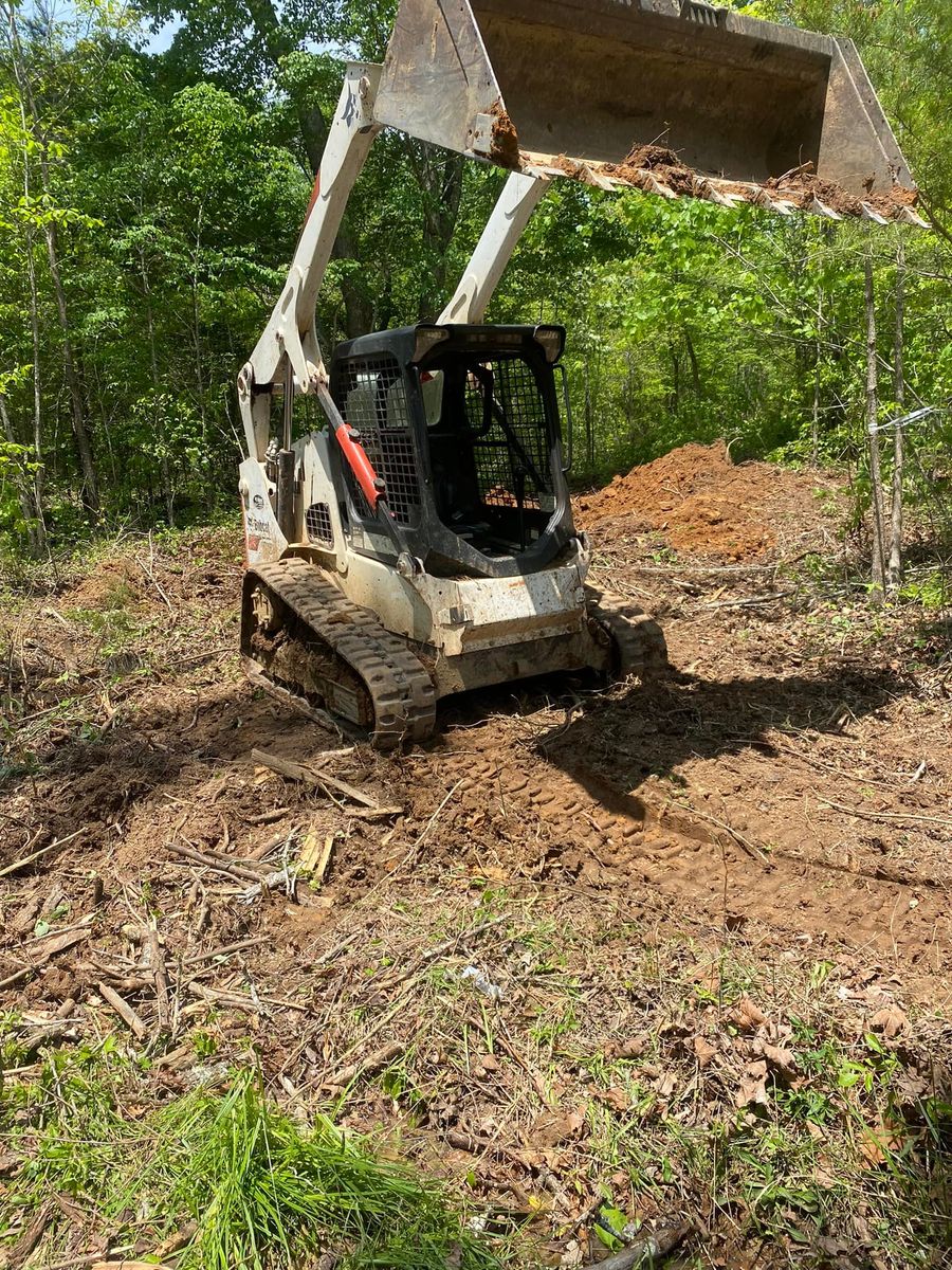 Stump Removal for Lance Tree Service in Tellico Plains ,  TN