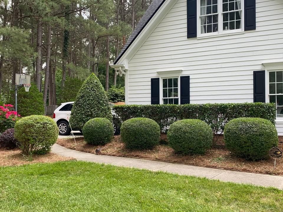 Residential Lawn Care for Superior Lawn Solution in Coats, NC