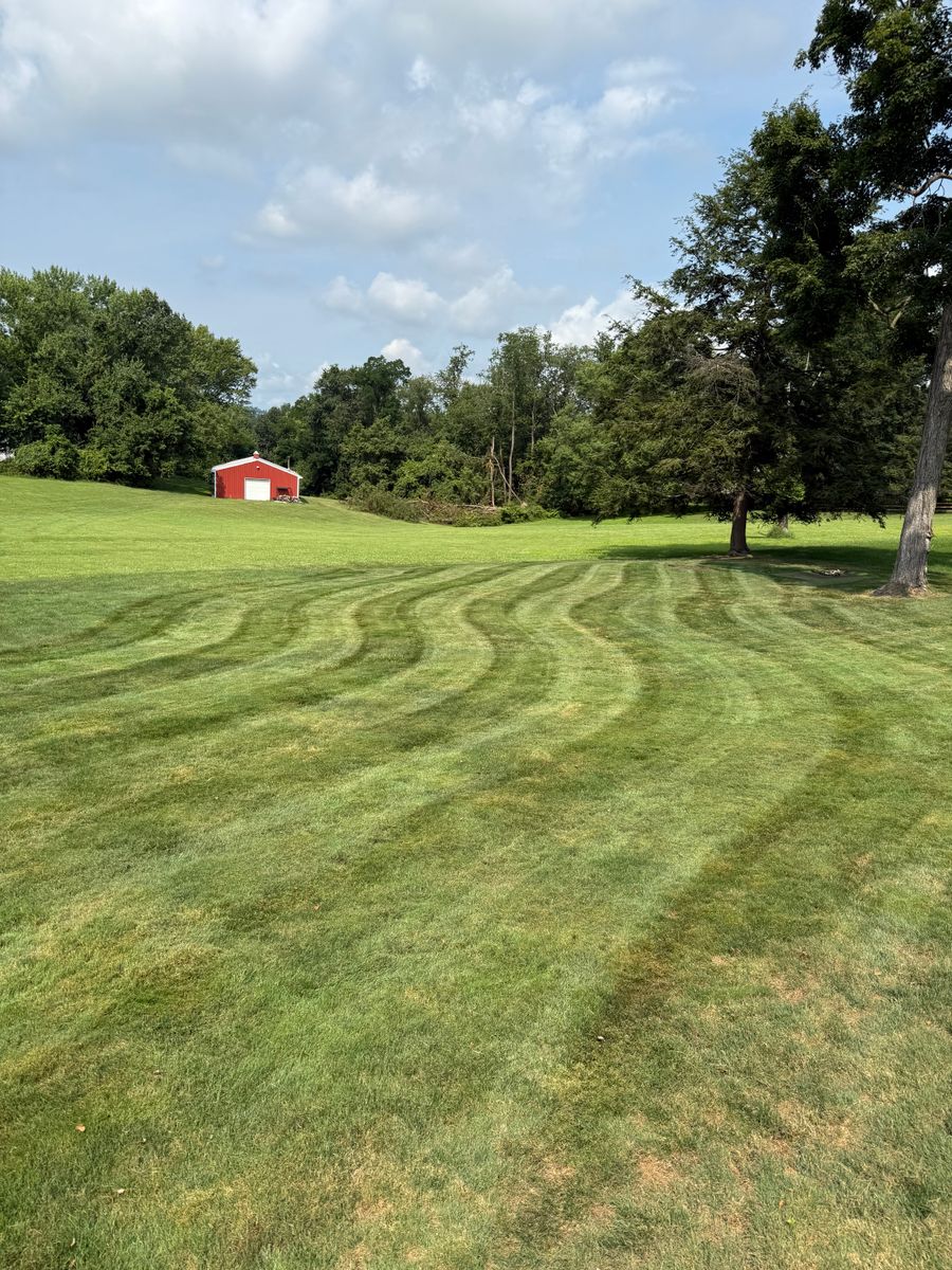 Hillside Maintenance for Green Hills Lawn Service in Washington, PA
