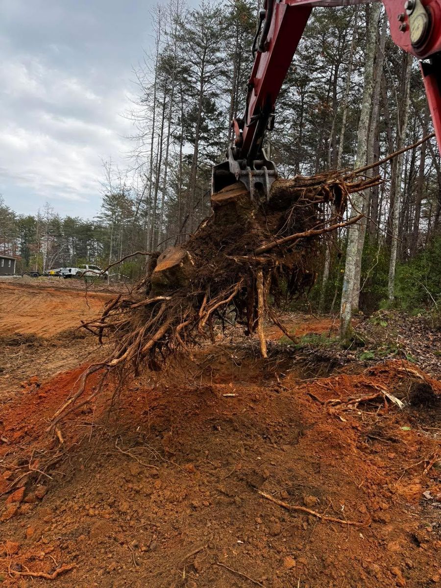 Tree Removal for C & D Landscaping Services, LLC in Blairsville, GA