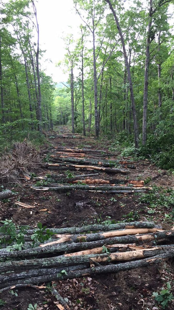 Land Clearing for Lanier Excavating LLC in Bedford County, VA