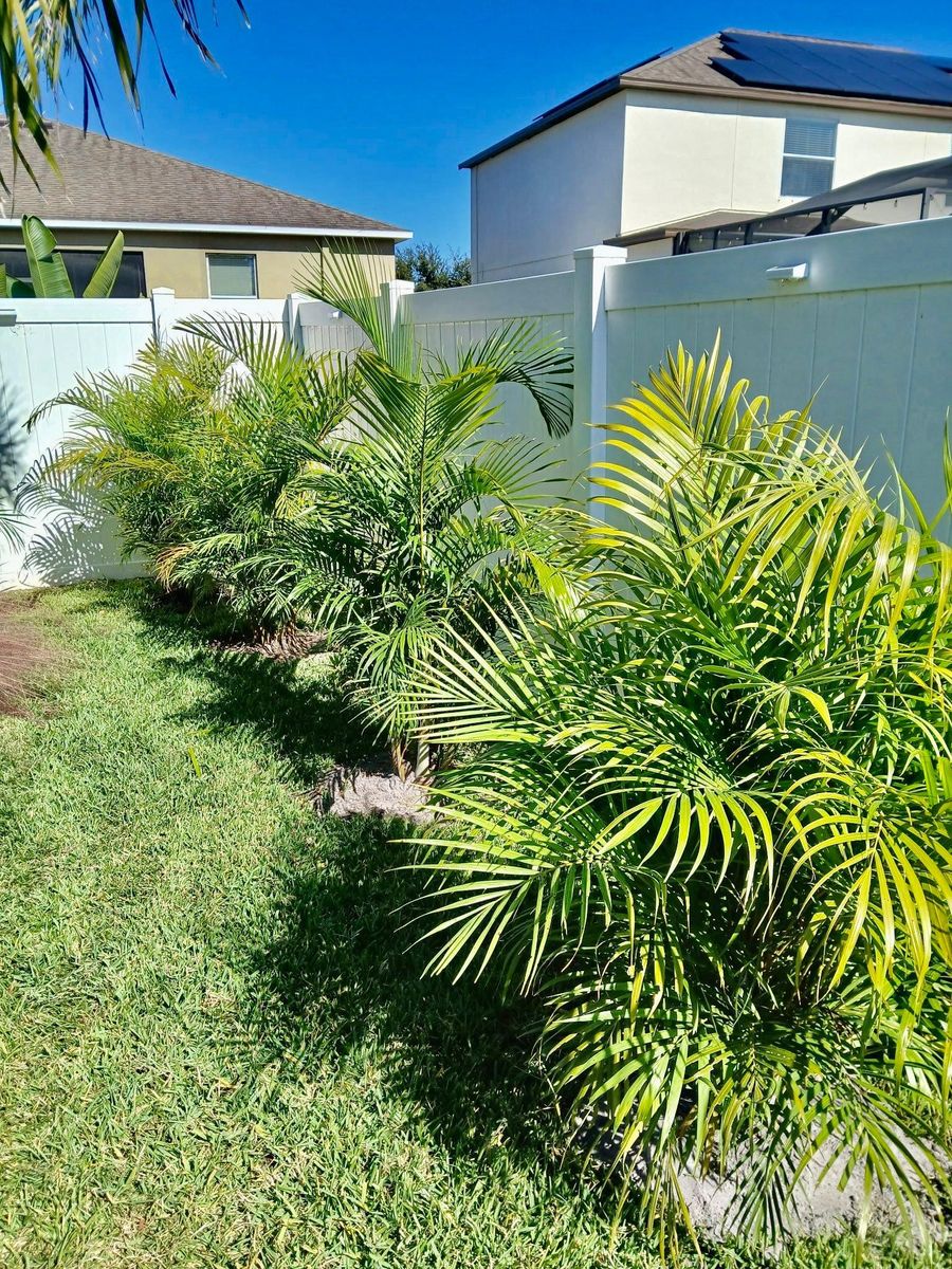 Landscaping for Shoreside Property Services in Apollo Beach, FL