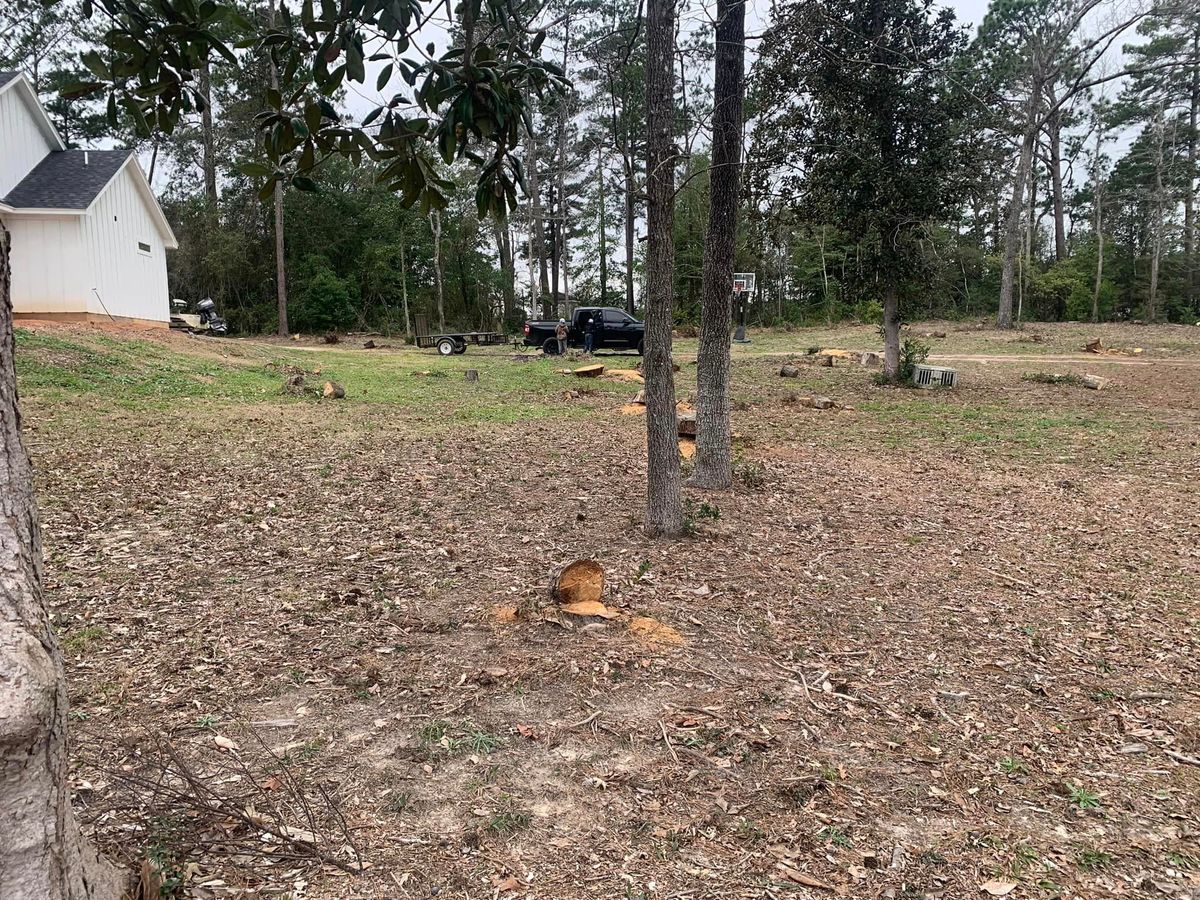 Yard Prep for JT’s Landscaping in Tyler County, TX