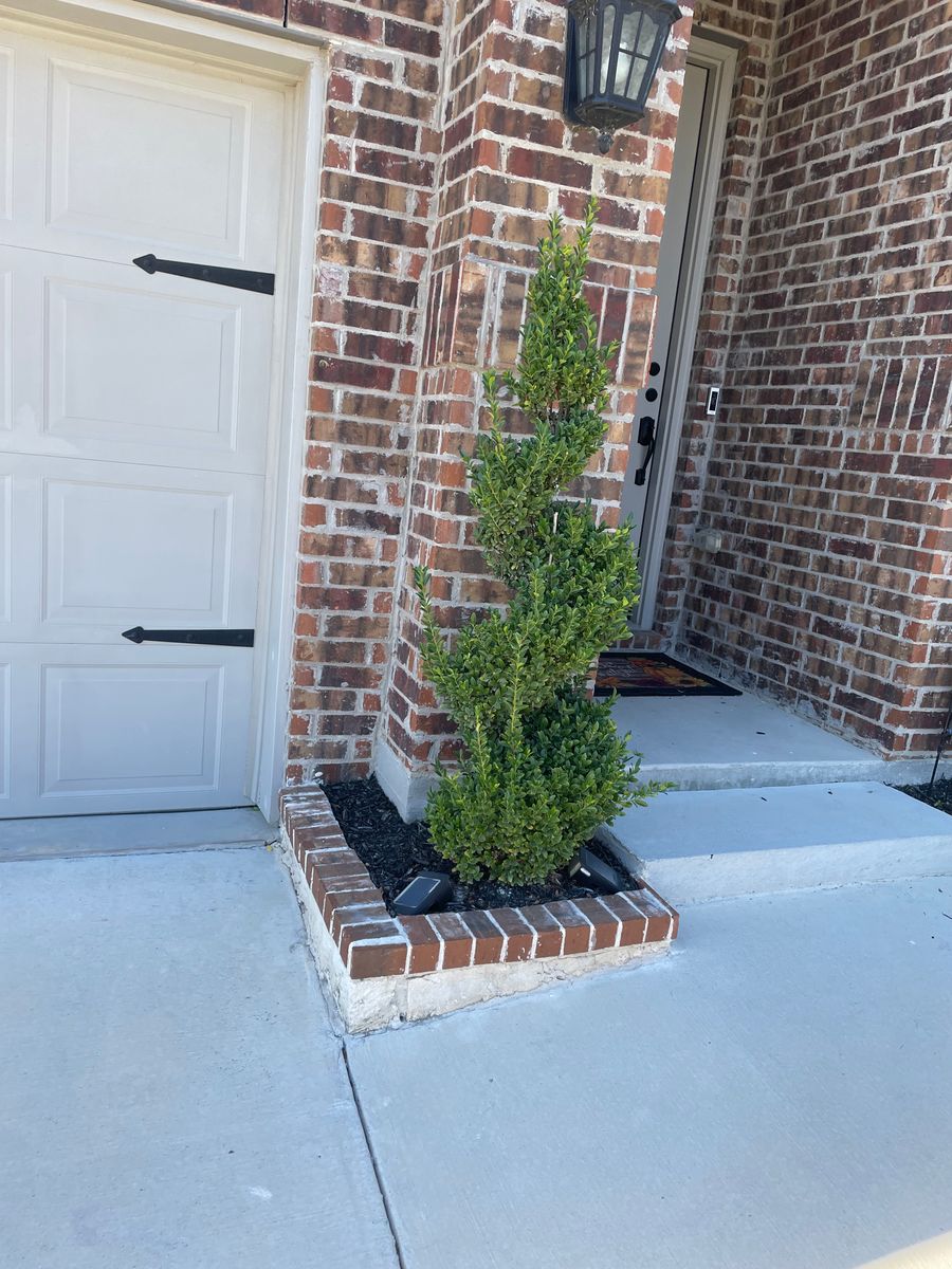 Mulch Installation for Joandi's Lawn & Landscaping Service in Haltom City, TX