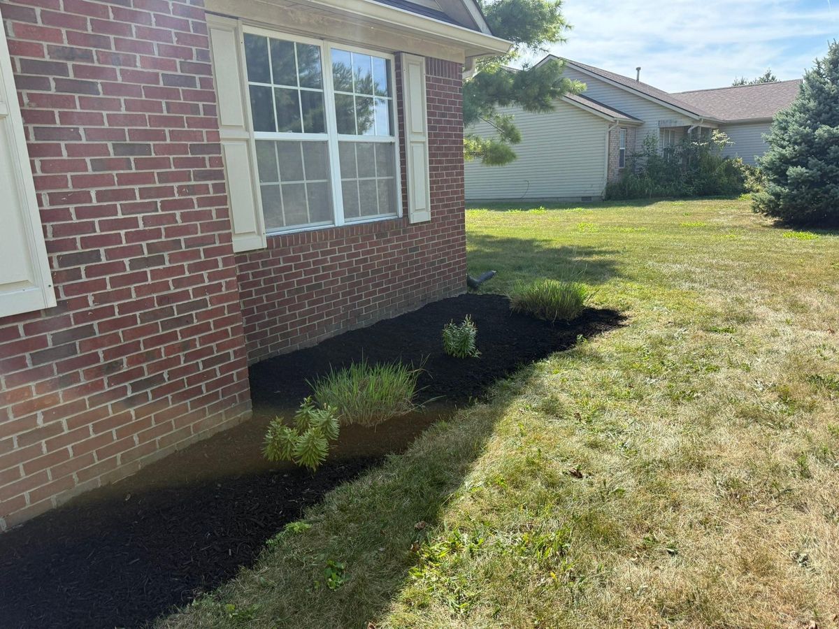 Landscaping for Bearforce Lawn Care LLC in Greenfield, IN