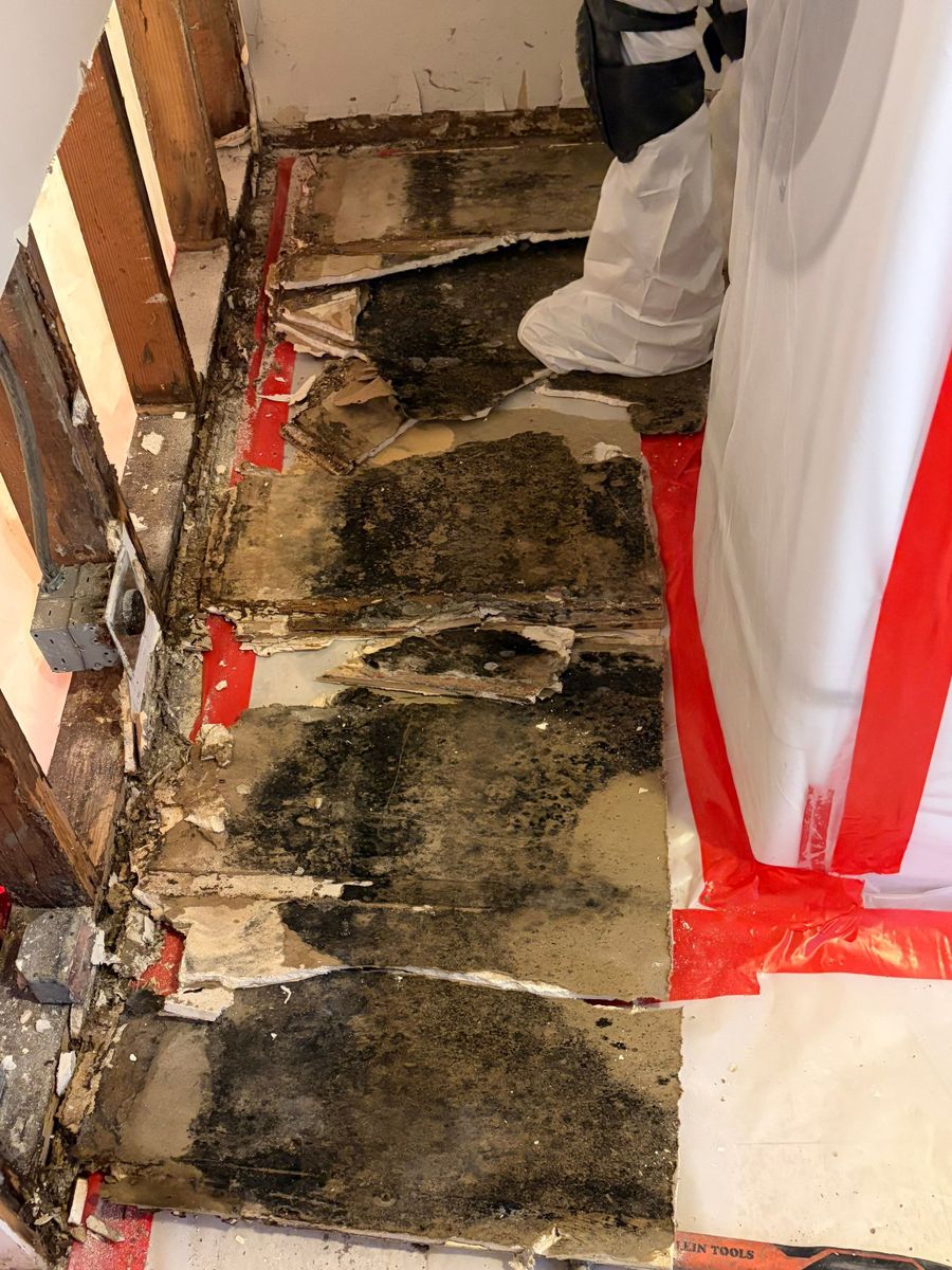 Mold Remediation for ACM Environmental in Salt Lake City, UT
