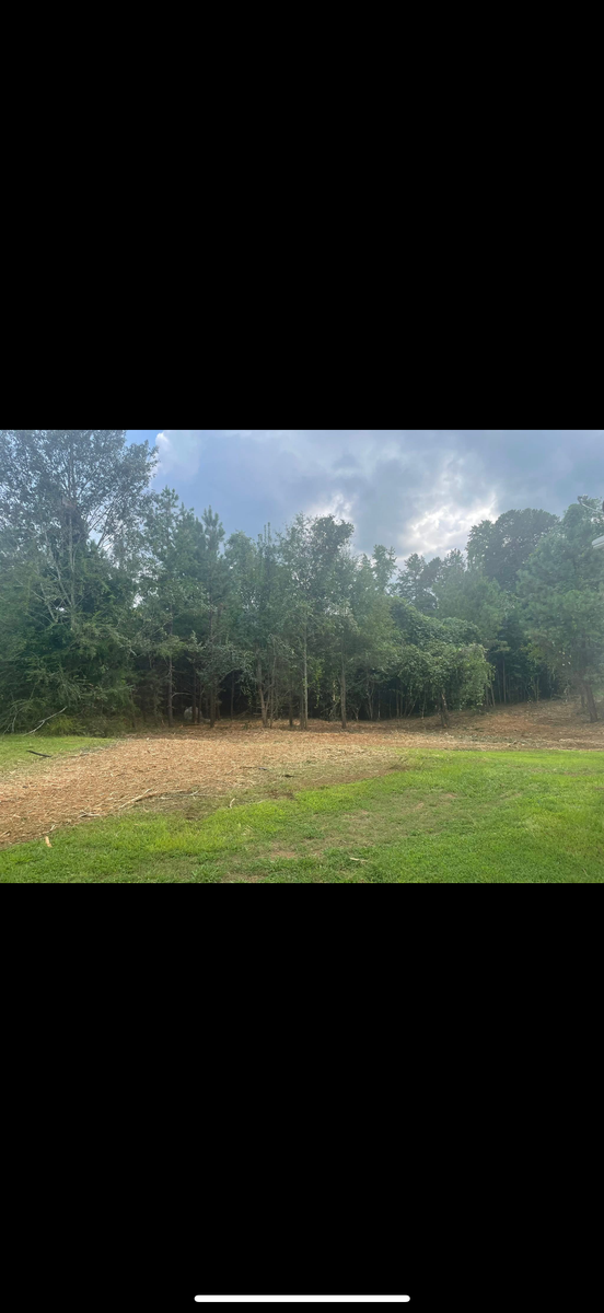 Forestry mulching for T Crane Grading LLC in Clarkesville, GA