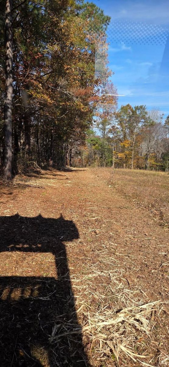 Forestry Mulching for Southern Stronghold Earthworks in Benson, NC
