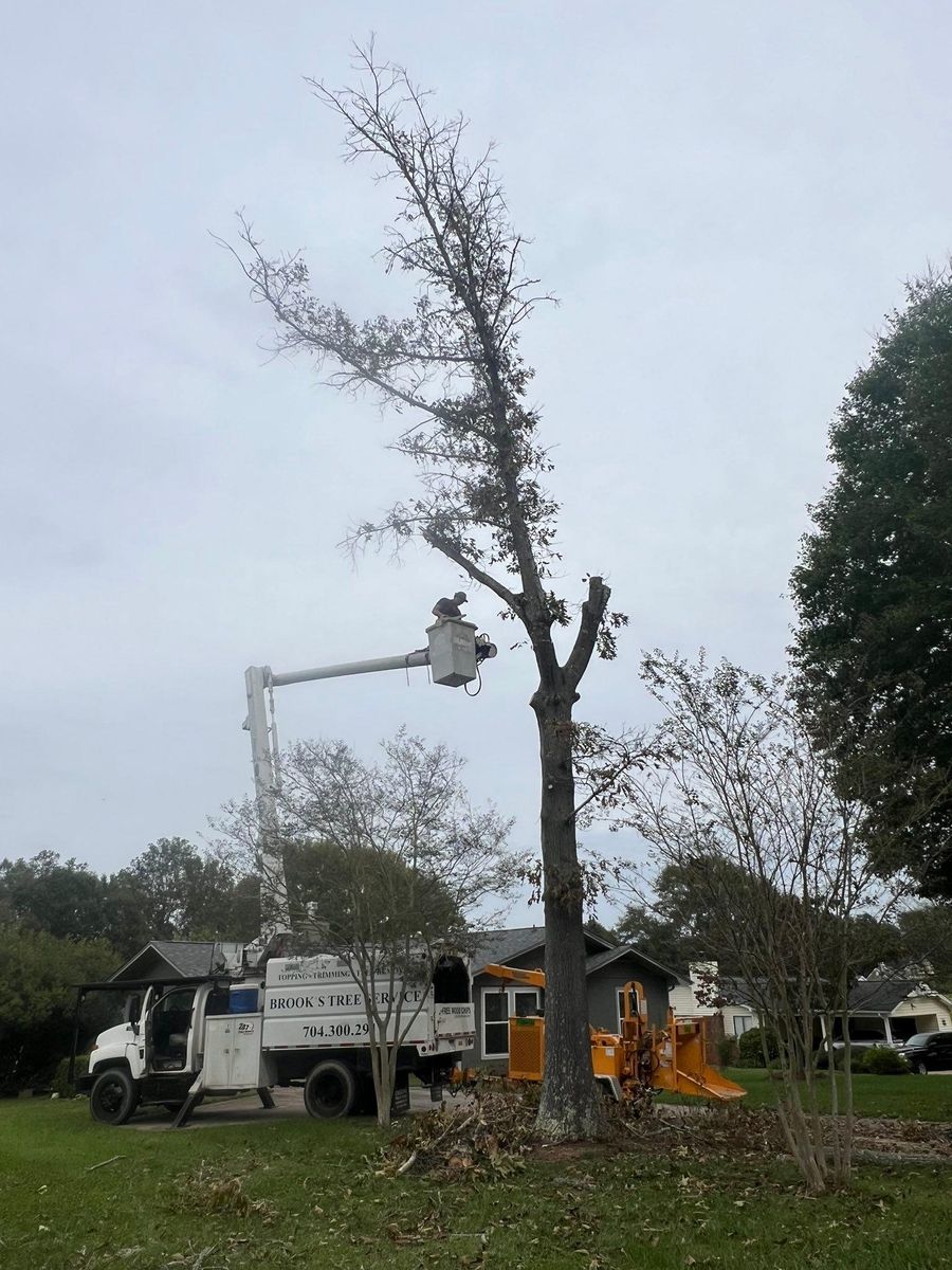 Fall Clean Up for Brooks Tree Service, LLC in Casar, NC