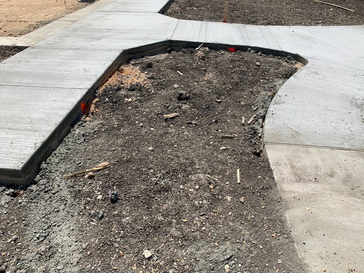 Sidewalk Installation for Leo's Concrete Crew in Elgin, TX