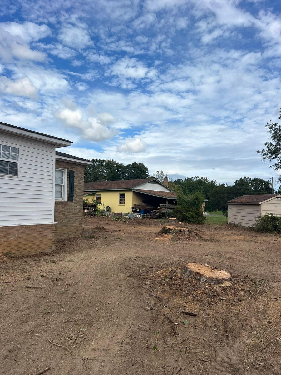 Fall Clean Up for Brooks Tree Service, LLC in Casar, NC