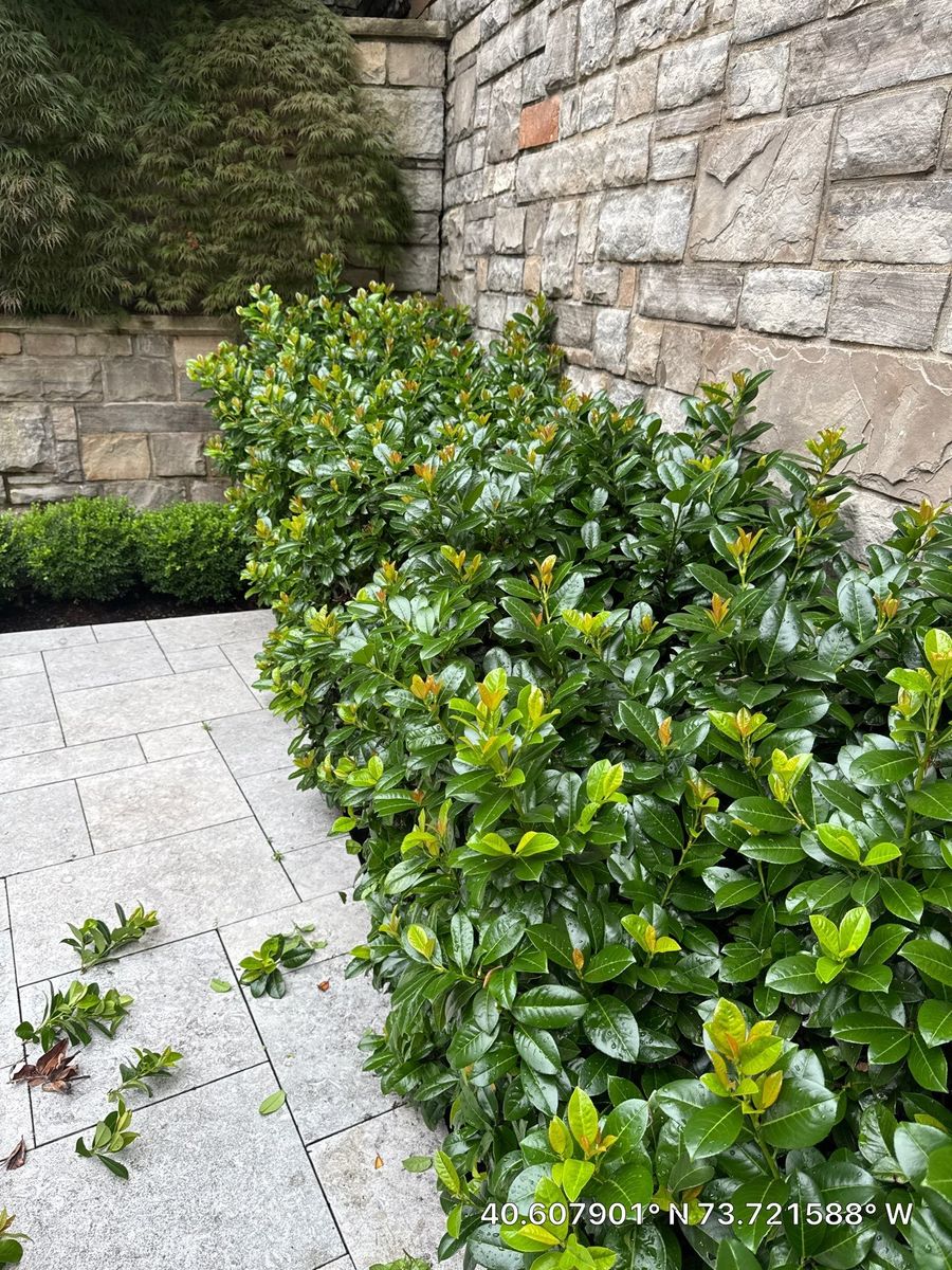 High End Residential Design & Install for Elegant Lawns & Landscaping in Inwood, NY