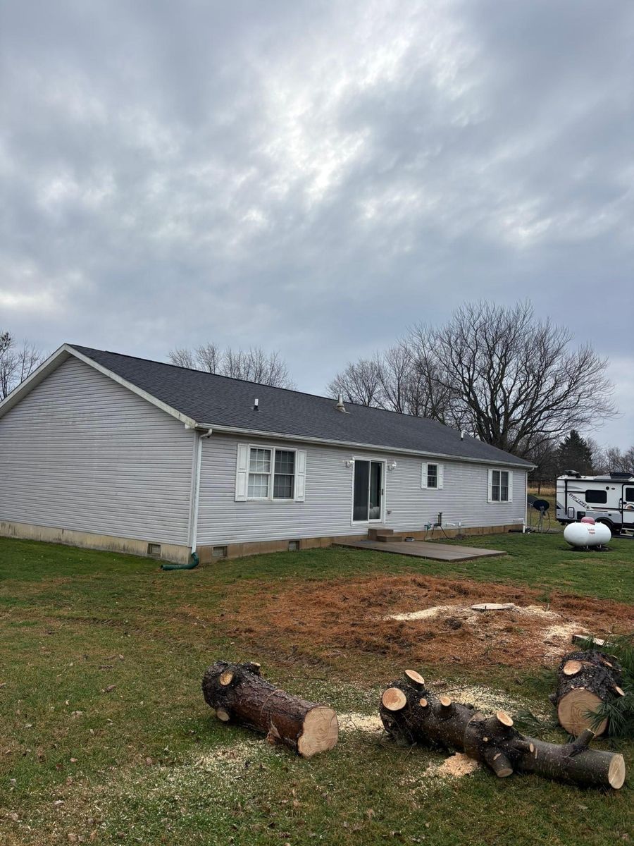 Tree Removal for Dig-It Tree Company in Mason, OH