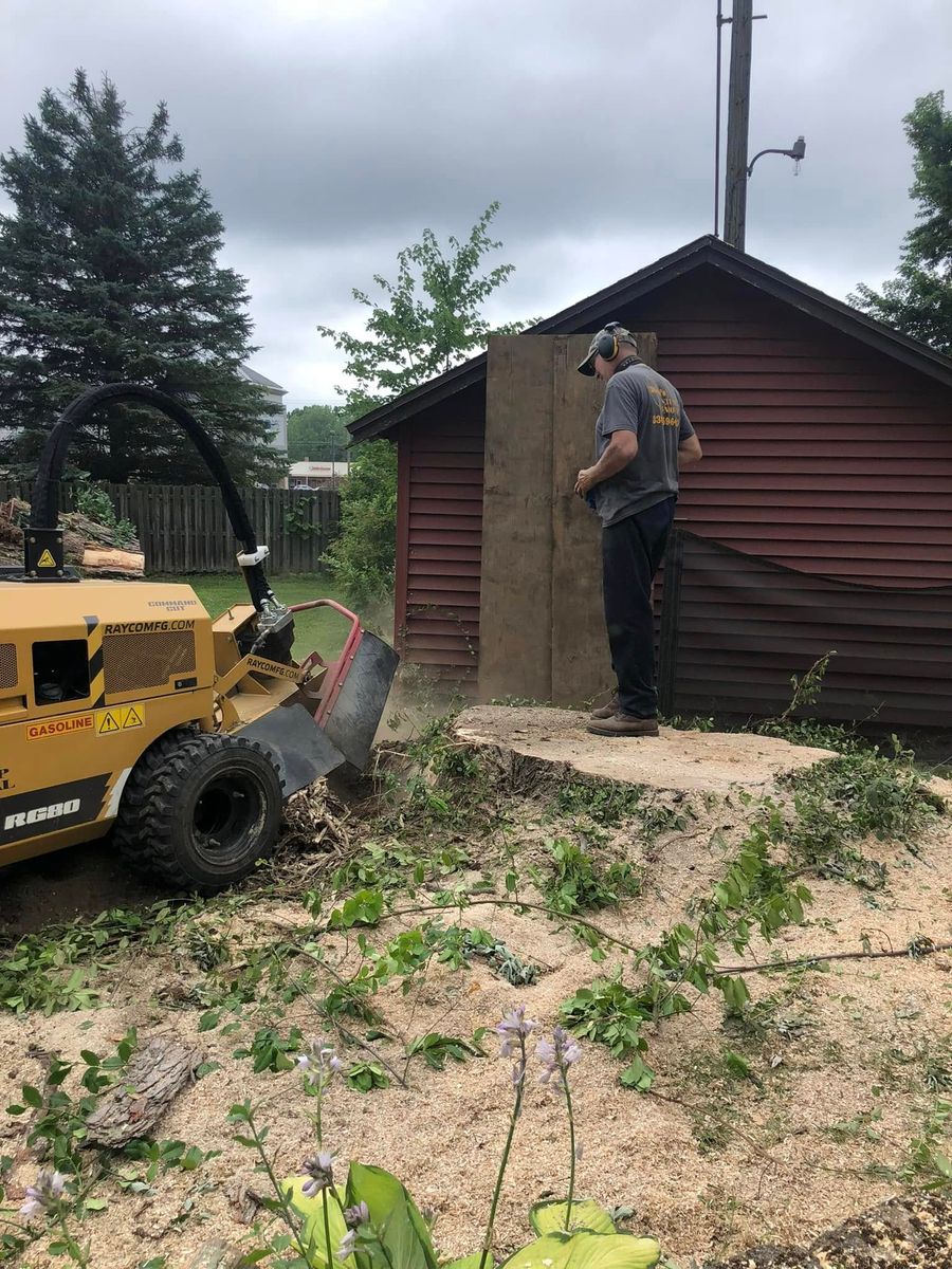 Stump Removal for Dean's Stump Removal in Youngstown, OH
