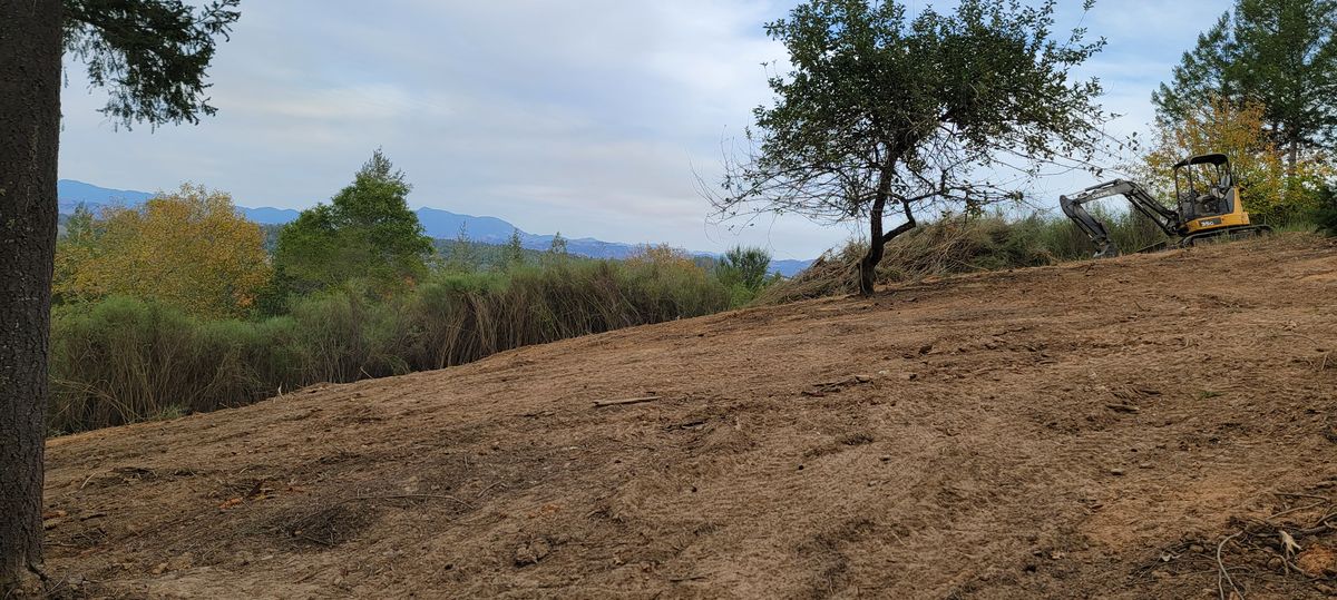 Land Clearing for Ren Levine Construction in Novato, CA