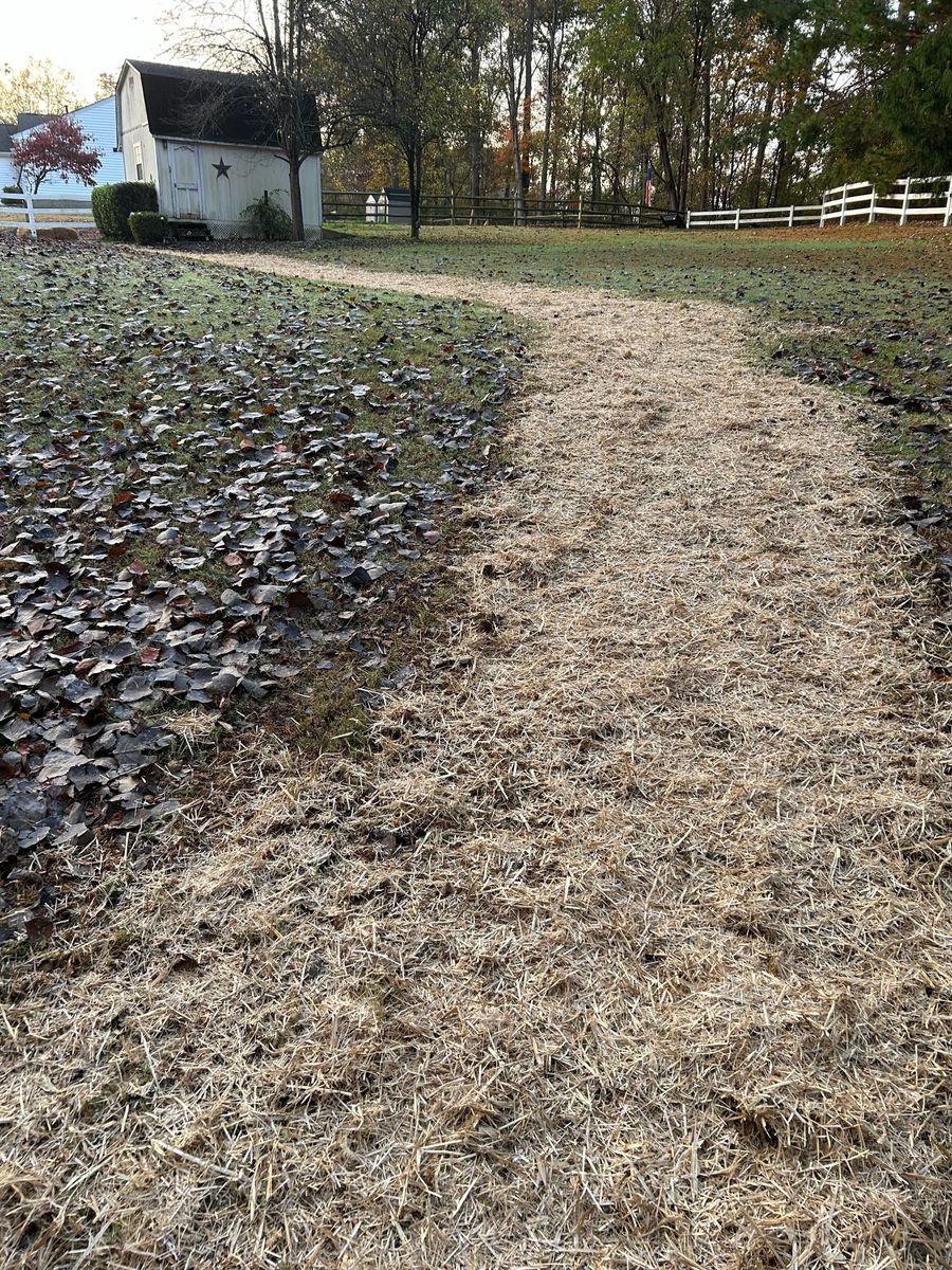 Erosion Control for Drain My lawn in Charlotte, NC