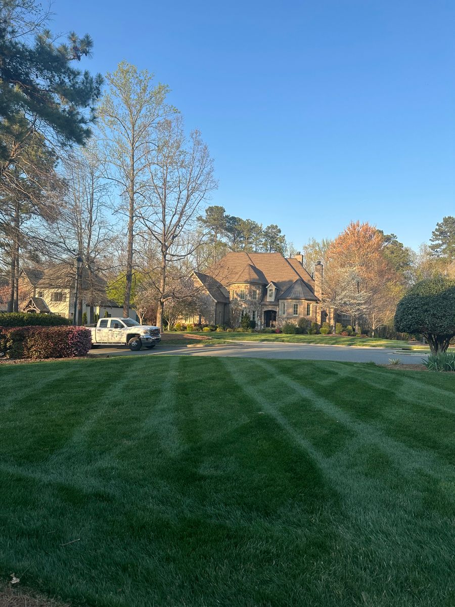Mowing for Pecina Pine Needles in Monroe, NC