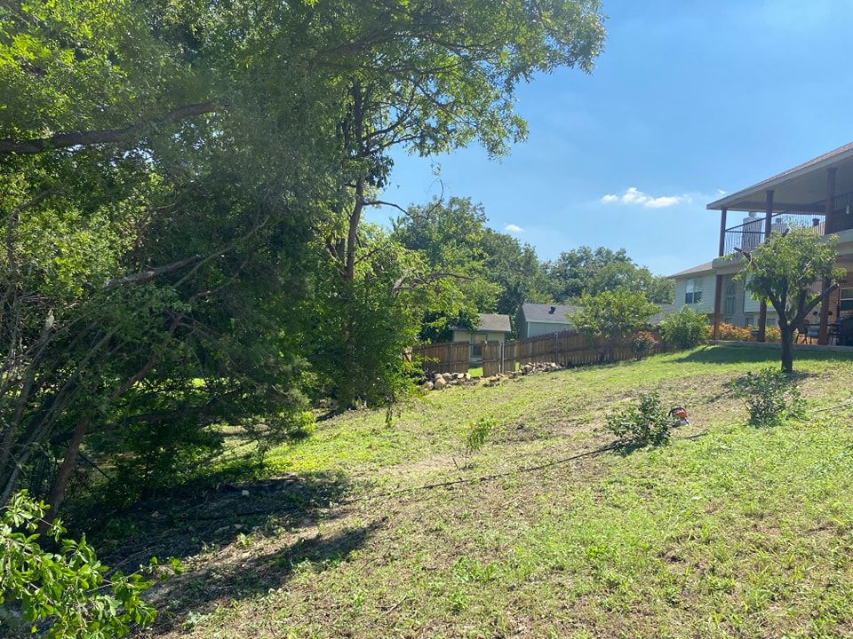 Tree Trimming for Muniz Tree Service in North Richland Hills, TX