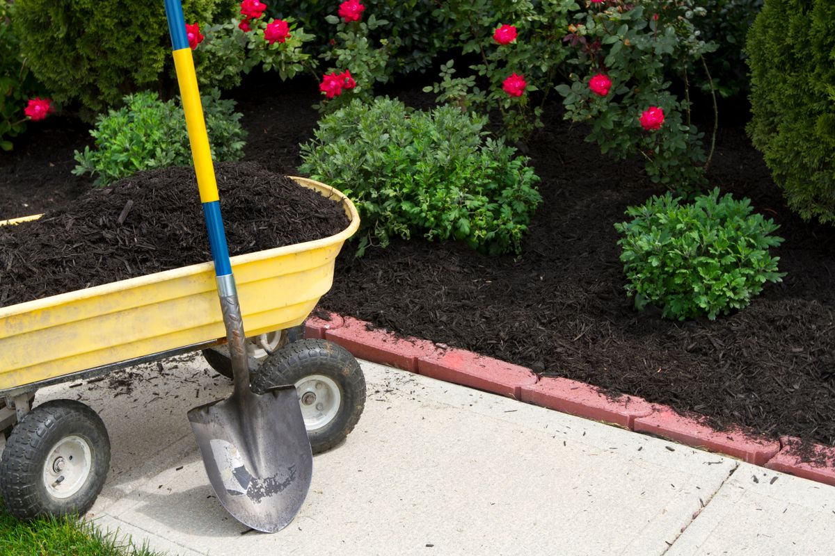 Planting for MDR Landscaping in Urbana, IL