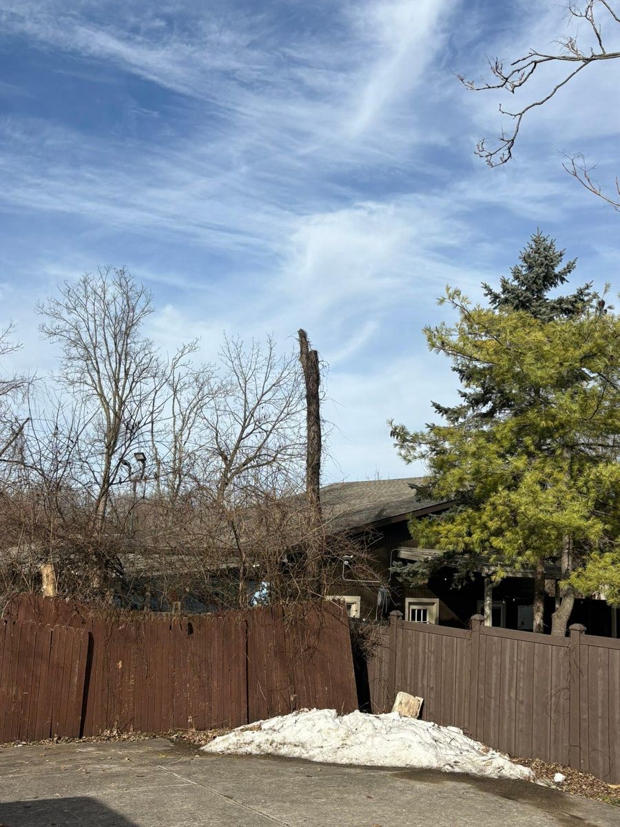 Tree Removal for Dig-It Tree Company in Mason, OH