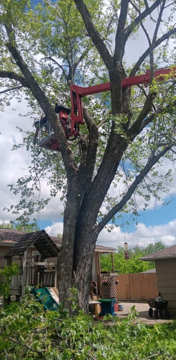 Tree Trimming for Lawn Ranger Yard And Tree Service LLC in Ottumwa, IA
