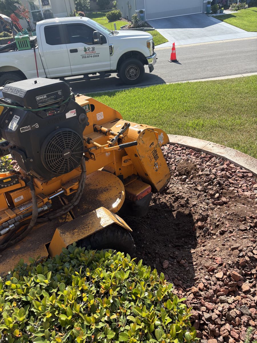 Stump Grinding for R.B. & Company in Belleview, FL