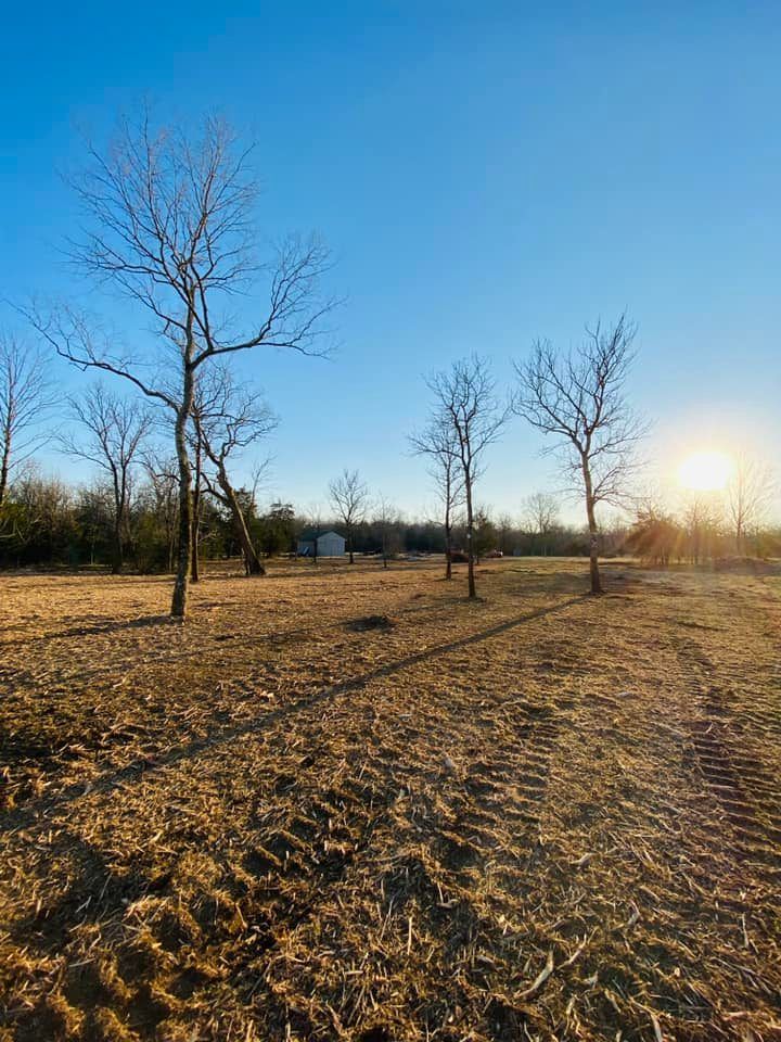 Site Preparation for Green Land Management in Mount Pleasant, TN
