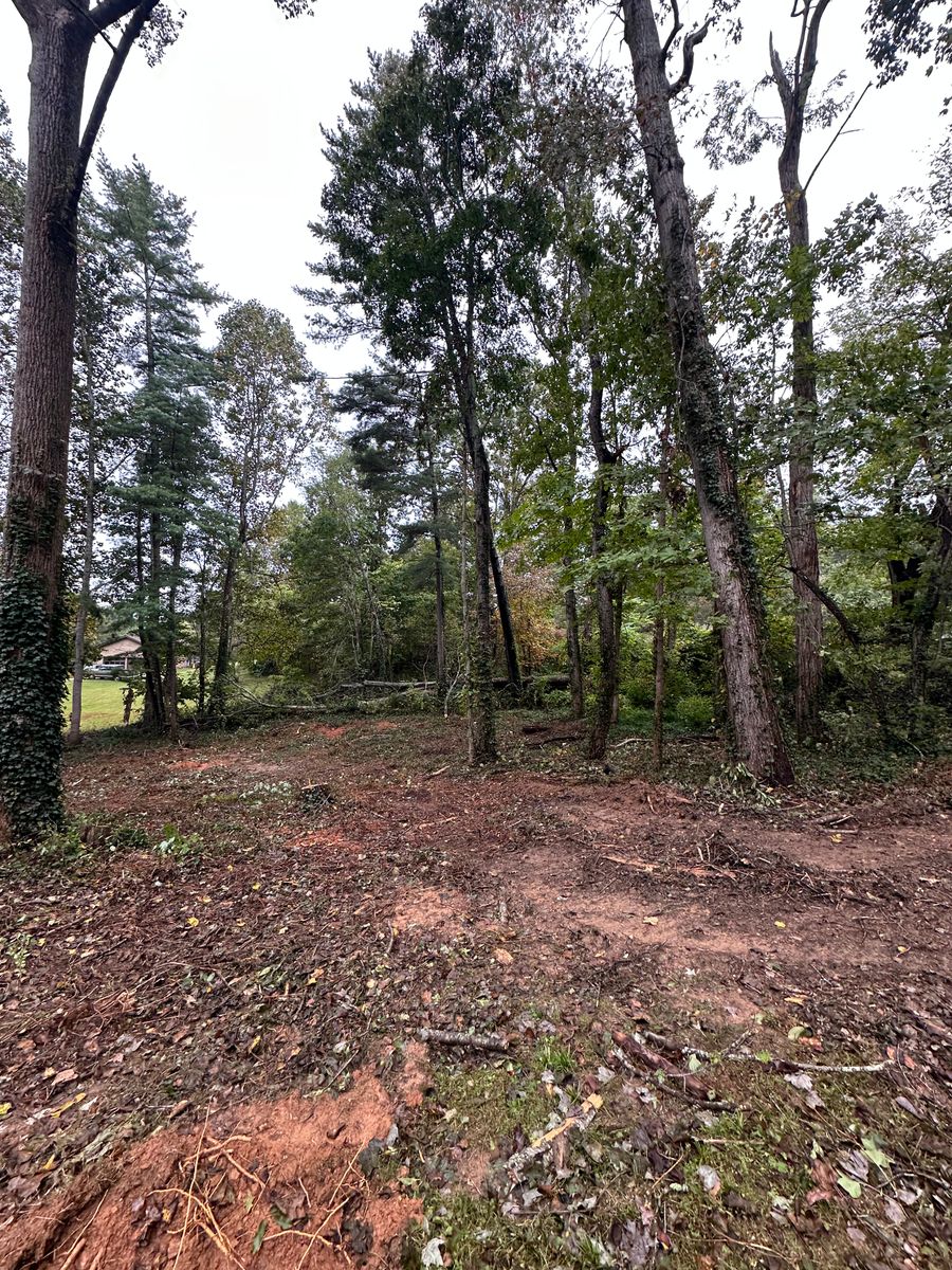 Site Preparation for Stines and Company  in Rutherfordton, NC