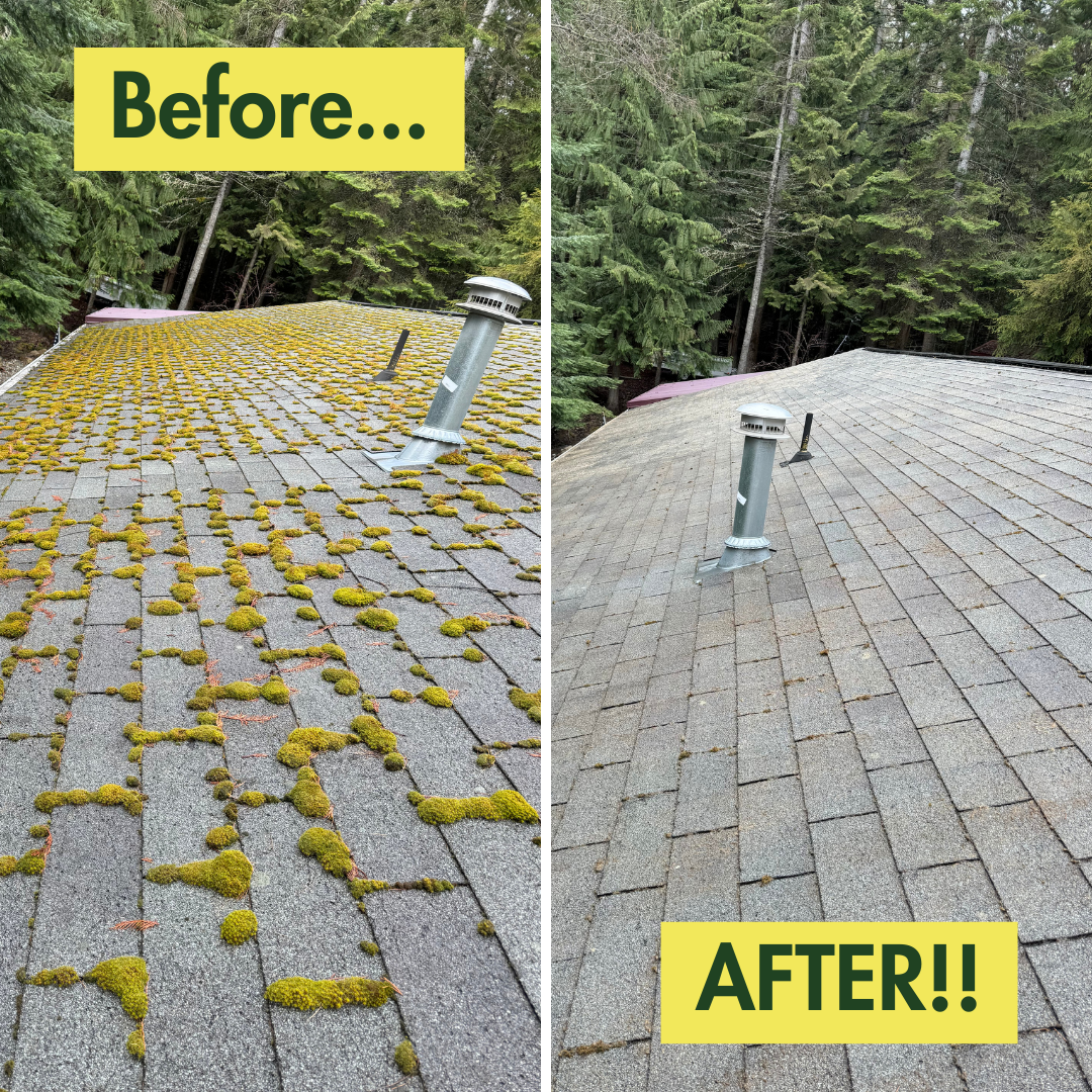 Moss Removal for Swift Serve in Coeur d'Alene, ID