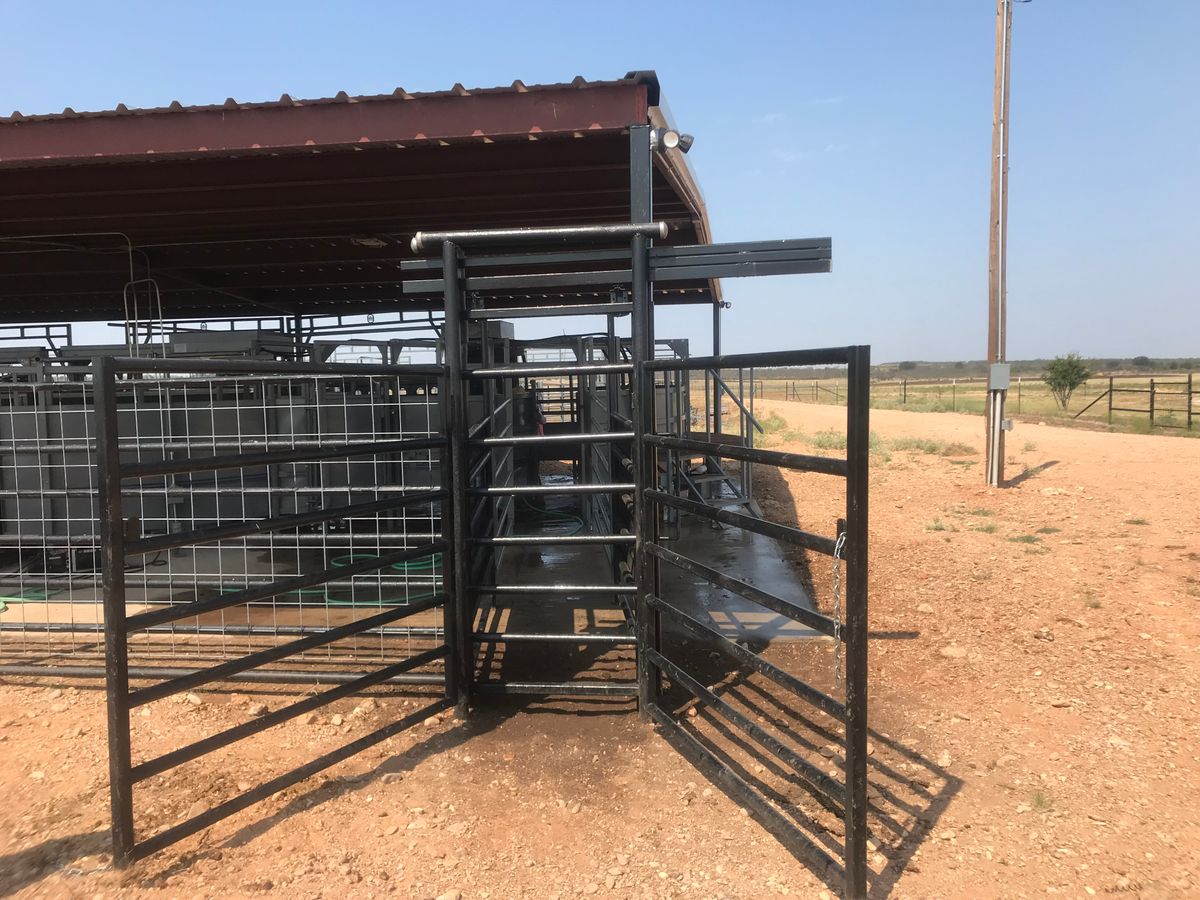 Cattle Pens for 5-7 Fencing & Construction in Madisonville, TX