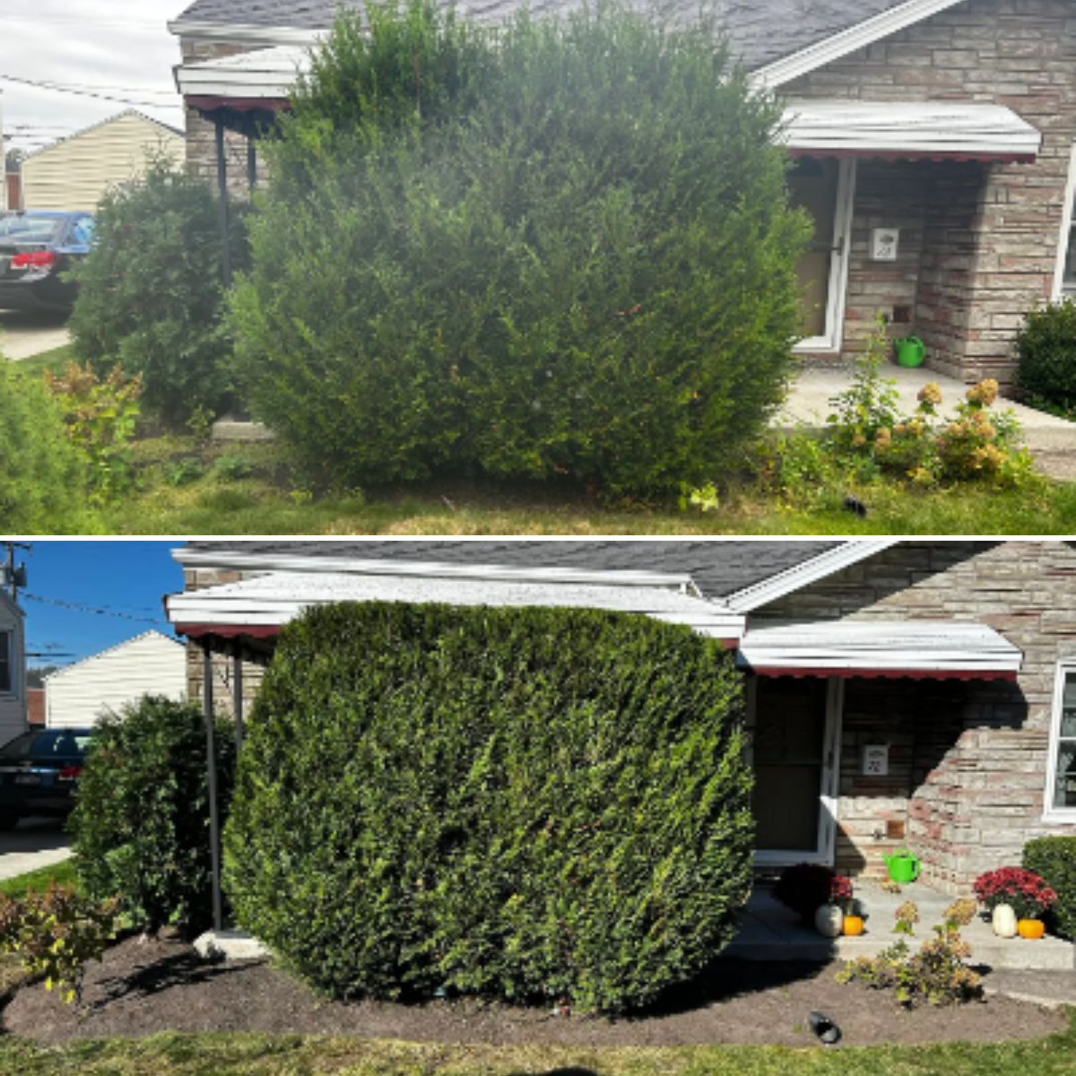 Landscape Maintenance for Leaps Landscaping LLC in Buffalo, NY